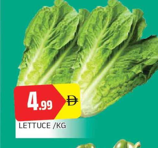 Lettuce available at AL MADINA in UAE - Sharjah / Ajman