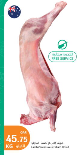 available at سيتي هايبرماركت in قطر - الشحانية