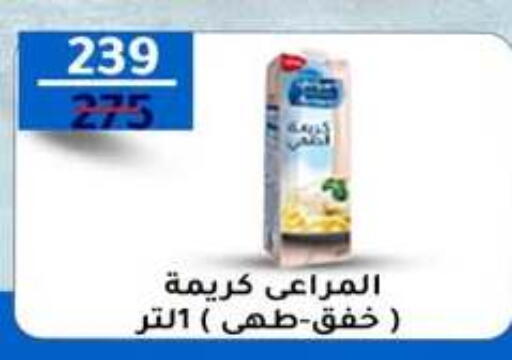available at وكالة المنصورة - الدقهلية‎ in Egypt - القاهرة