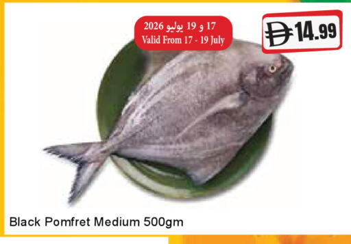 available at المايا سوبرماركت in الإمارات العربية المتحدة , الامارات - دبي