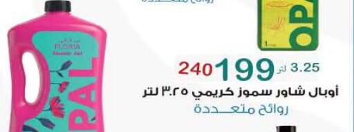 available at وكالة المنصورة - الدقهلية‎ in Egypt - القاهرة