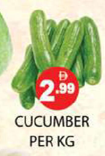 Cucumber available at Zain Mart Supermarket in UAE - Ras al Khaimah