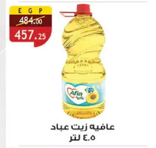 available at الرايه  ماركت in Egypt - القاهرة