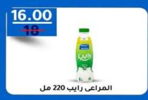 available at وكالة المنصورة - الدقهلية‎ in Egypt - القاهرة