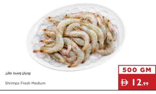 available at إسطنبول سوبرماركت in الإمارات العربية المتحدة , الامارات - دبي