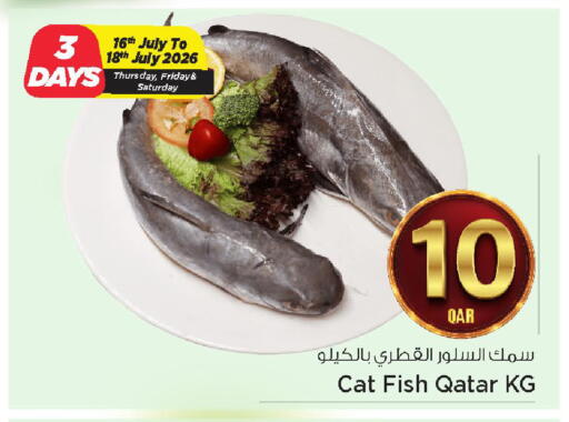 available at مارك & سيف in قطر - الضعاين