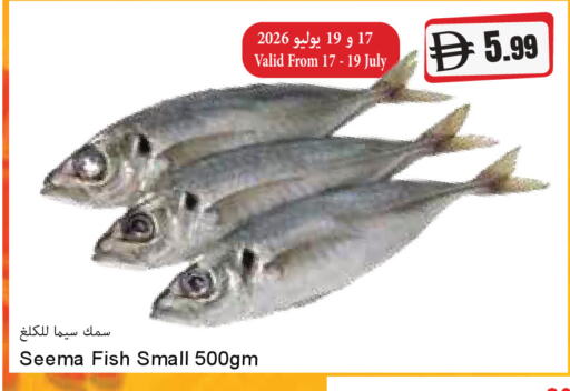 available at المايا سوبرماركت in الإمارات العربية المتحدة , الامارات - دبي