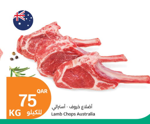 available at سيتي هايبرماركت in قطر - الشحانية