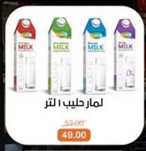 available at Beit El Gomla in Egypt - Cairo