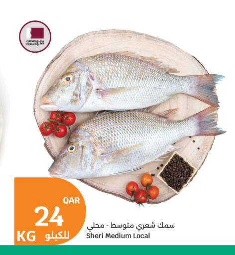 available at سيتي هايبرماركت in قطر - الشحانية