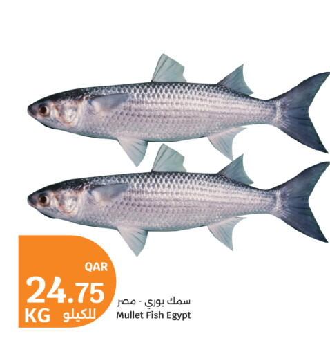 available at سيتي هايبرماركت in قطر - الشحانية