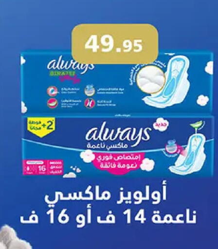 available at الرايه  ماركت in Egypt - القاهرة