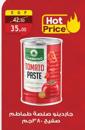 Tomato available at الرايه  ماركت in Egypt - القاهرة