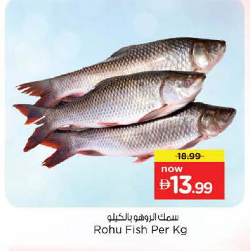 available at Nesto Hypermarket in UAE - Dubai