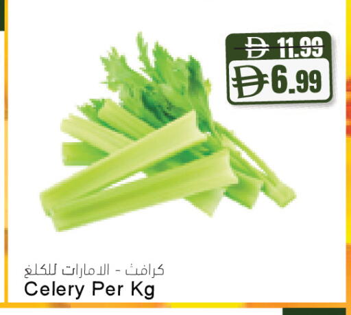 Celery available at المايا سوبرماركت in الإمارات العربية المتحدة , الامارات - رَأْس ٱلْخَيْمَة
