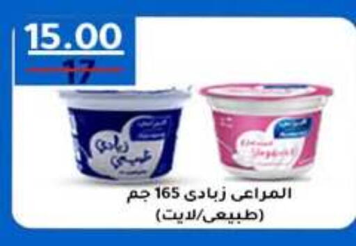 available at وكالة المنصورة - الدقهلية‎ in Egypt - القاهرة