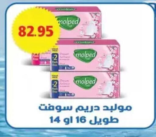 available at Bashayer hypermarket in Egypt - Cairo