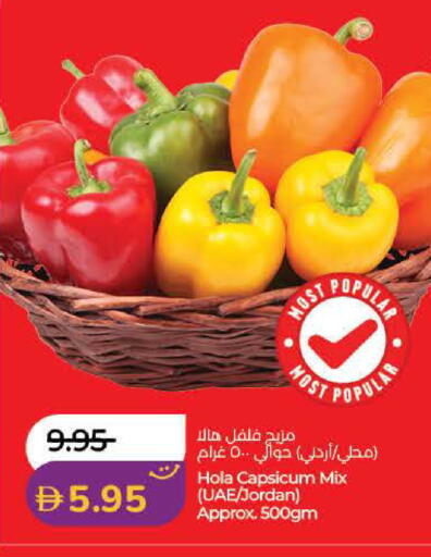 Capsicum from Jordan available at لولو هايبرماركت in الإمارات العربية المتحدة , الامارات - الشارقة / عجمان