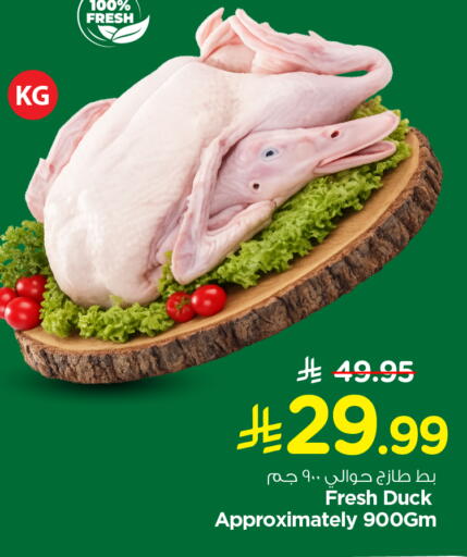 available at Nesto in KSA, Saudi Arabia, Saudi - Al-Kharj