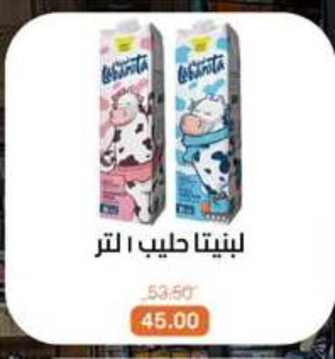 available at Beit El Gomla in Egypt - Cairo