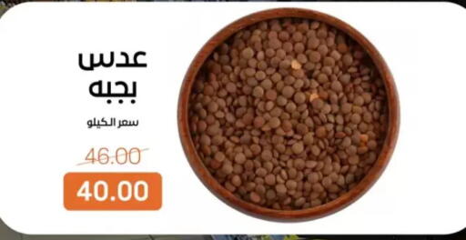 available at Beit El Gomla in Egypt - Cairo