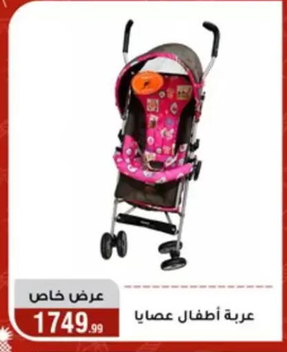 available at Al Morshedy  in Egypt - Cairo