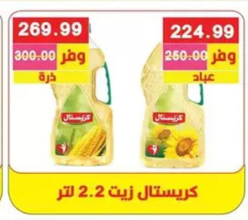 available at Bashayer hypermarket in Egypt - Cairo