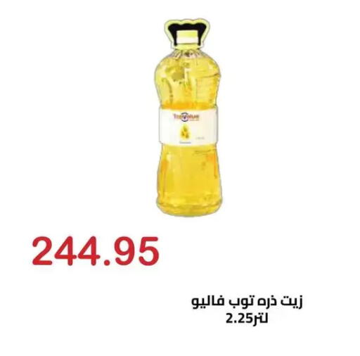 available at الهواري in Egypt - القاهرة