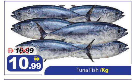 available at ديزرت فريش ماركت in الإمارات العربية المتحدة , الامارات - أبو ظبي