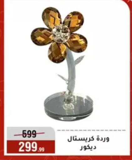 available at Al Morshedy  in Egypt - Cairo