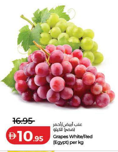 Grapes from Egypt available at Lulu Hypermarket in UAE - Dubai