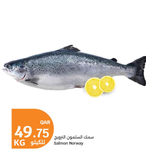 available at سيتي هايبرماركت in قطر - الشحانية