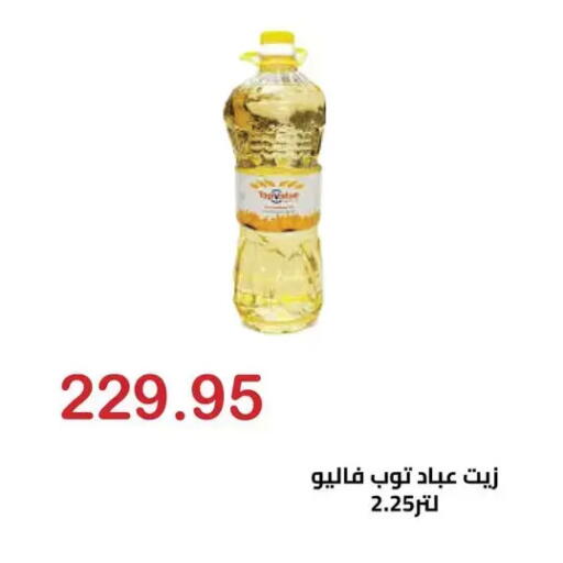 available at الهواري in Egypt - القاهرة