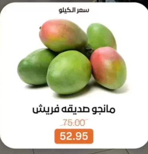 available at بيت الجملة in Egypt - القاهرة