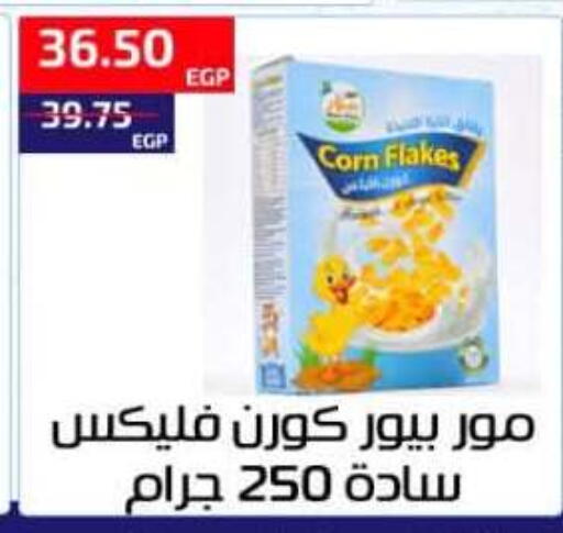 available at ال لاف ماركت in Egypt - القاهرة