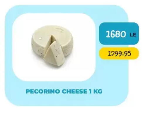 available at Point Market  in Egypt - Cairo