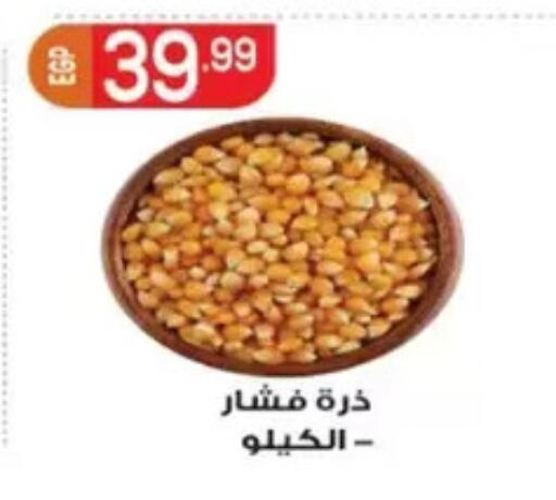 available at El mhallawy Sons in Egypt - Cairo