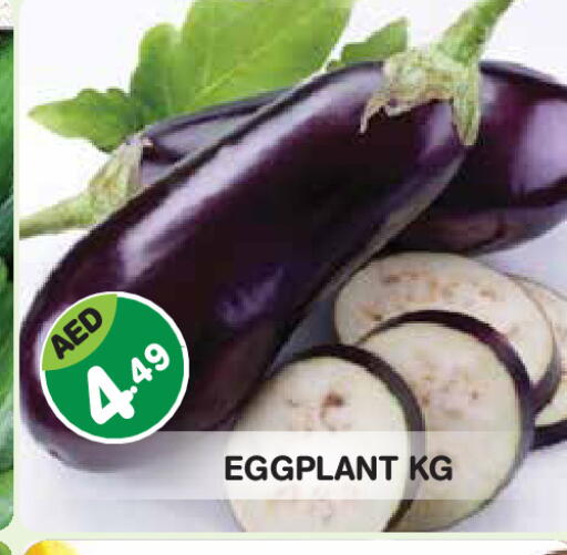 Eggplant available at Baniyas Spike  in UAE - Abu Dhabi