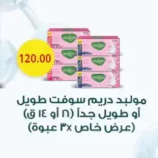 available at El mhallawy Sons in Egypt - Cairo
