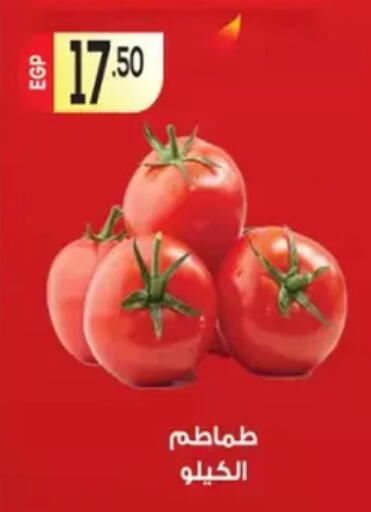 available at El mhallawy Sons in Egypt - Cairo