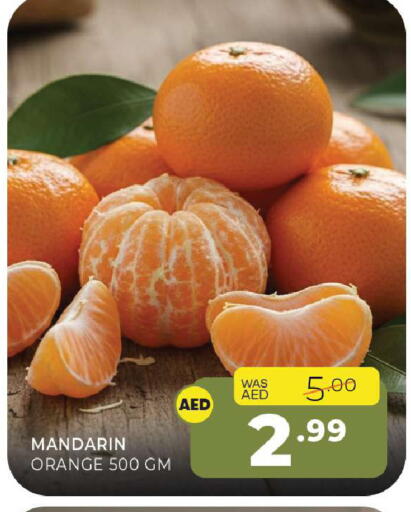 Mandarin Orange available at Al Madina  in UAE - Sharjah / Ajman