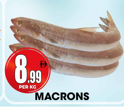 available at Centro Discount Center in UAE - Sharjah / Ajman