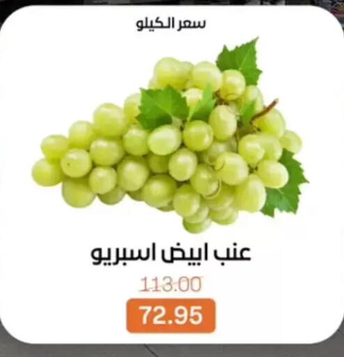 available at بيت الجملة in Egypt - القاهرة