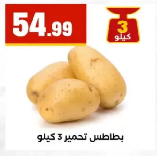 available at المحلاوي ستورز in Egypt - القاهرة