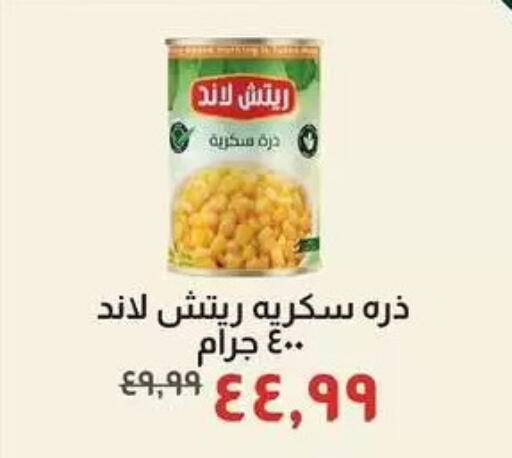 available at Kheir Zaman  in Egypt - Cairo
