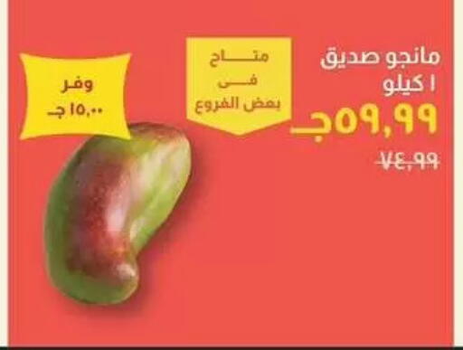 available at Kheir Zaman  in Egypt - Cairo