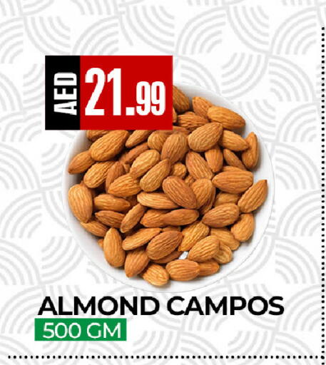 available at  RIVIERA SUPERMARKET L.L.C in UAE - Abu Dhabi