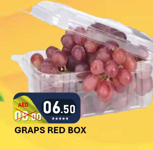 available at رويال جلف هايبرماركت in الإمارات العربية المتحدة , الامارات - أبو ظبي