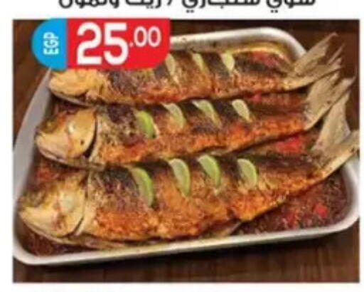 available at El mhallawy Sons in Egypt - Cairo