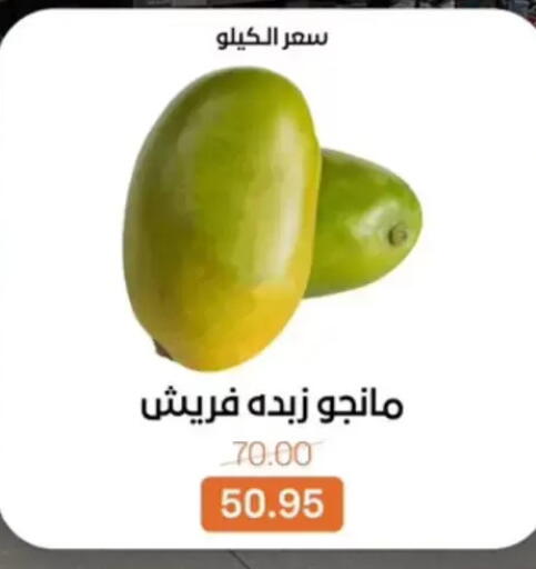 available at بيت الجملة in Egypt - القاهرة